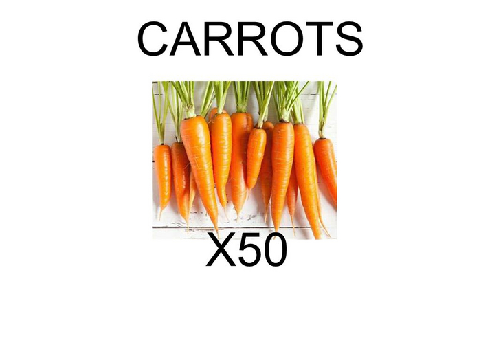 MYSTORY CARROTS X 50