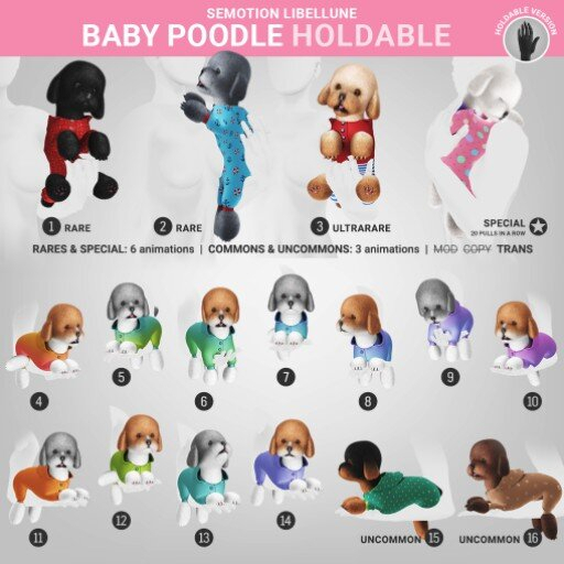SEmotion Libellune Baby Poodle Holdable COMMON 09