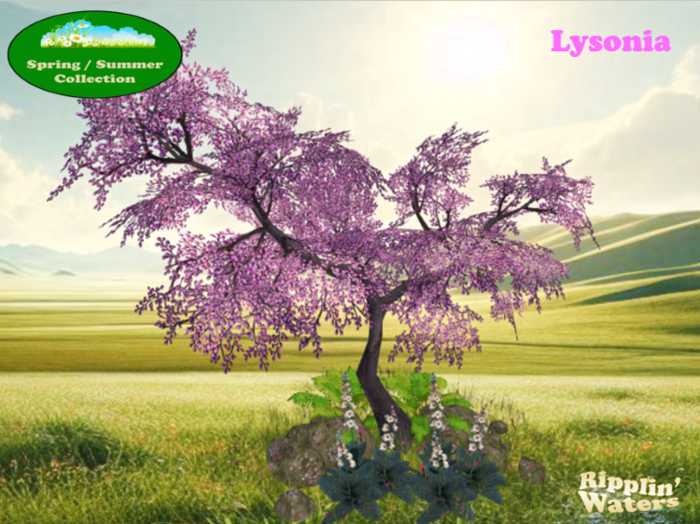 RW - Summer Spring Sakura Cherry Tree patch *Lysonia* c/m