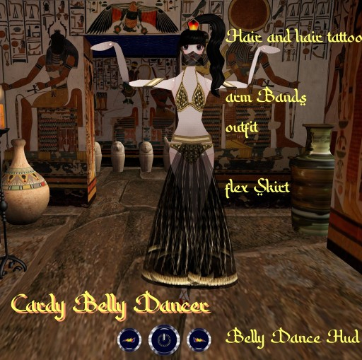 Cardy Belly Dancer Outfit & Dance Hud  TOUCH