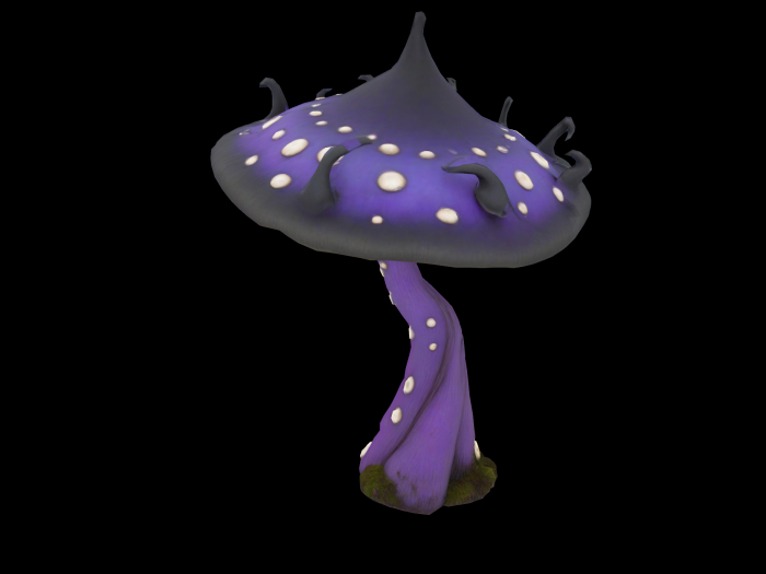 HB: Whimsy Mushroom Q FuLL PERM