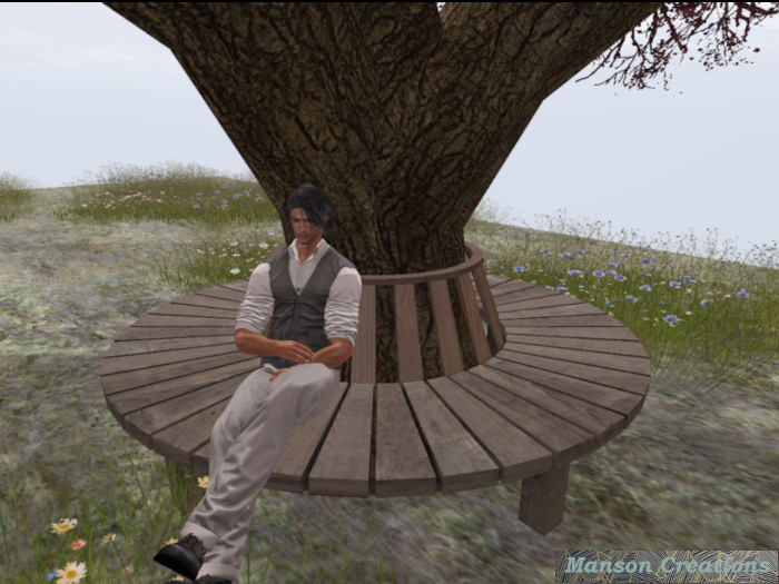 Round Tree Seat