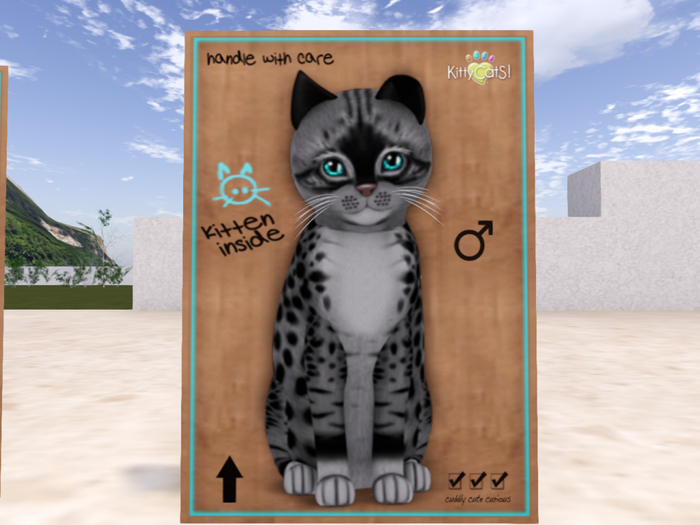 KittyCatS Box - Genesis - Bandit II (Male) Mysterious Odyssey Fold