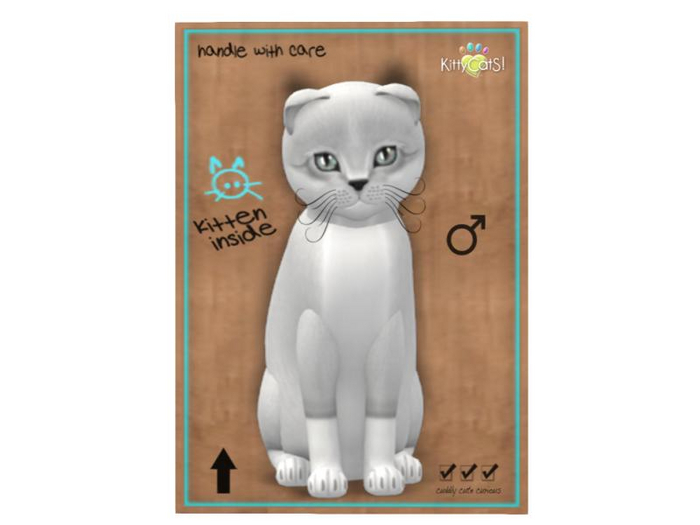 KittyCatS Box - 9T - M - Foxie - Snow