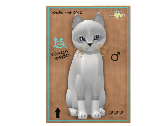KittyCatS Box - 9 T - M - Foxie - Snow