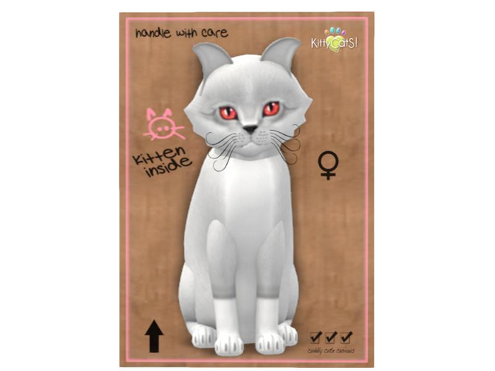 KittyCatS Box - 8T - F - Foxie - Snow