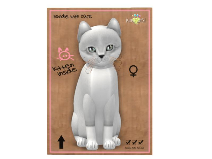 KittyCatS Box - 9T - F - Foxie - Snow
