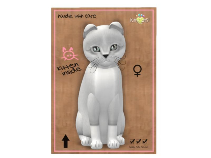 KittyCatS Box - 9T - F - Foxie - Snow