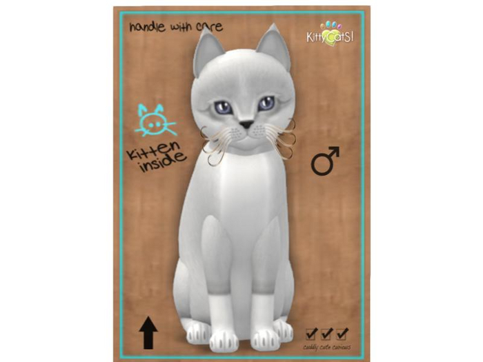 KittyCatS Box - 9 T - M - Foxie - Snow