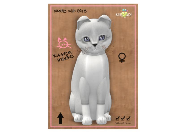 KittyCatS Box - 9 T - F - Foxie - Snow