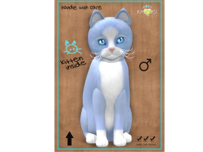 KittyCatS Box - 9T - M - Chateau Cat - Powder Puff No. 1