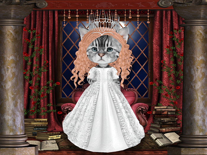 Princess gown white set box