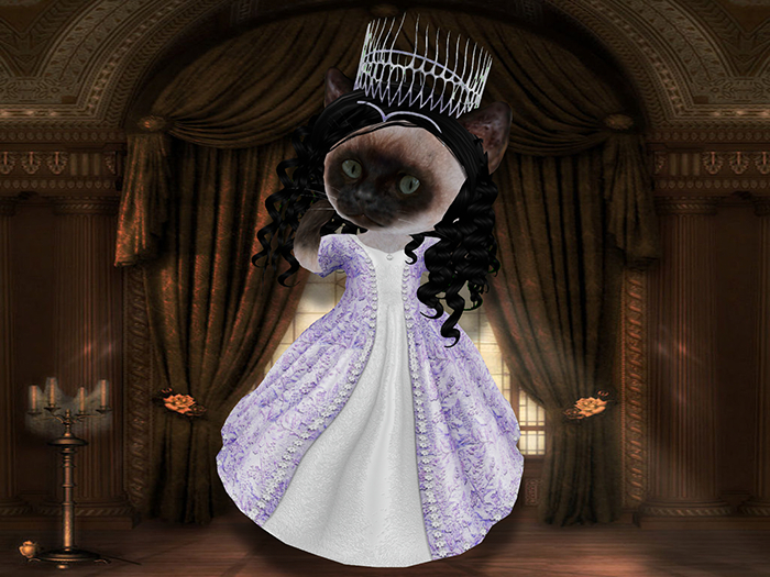 Princess gown purple-white set box