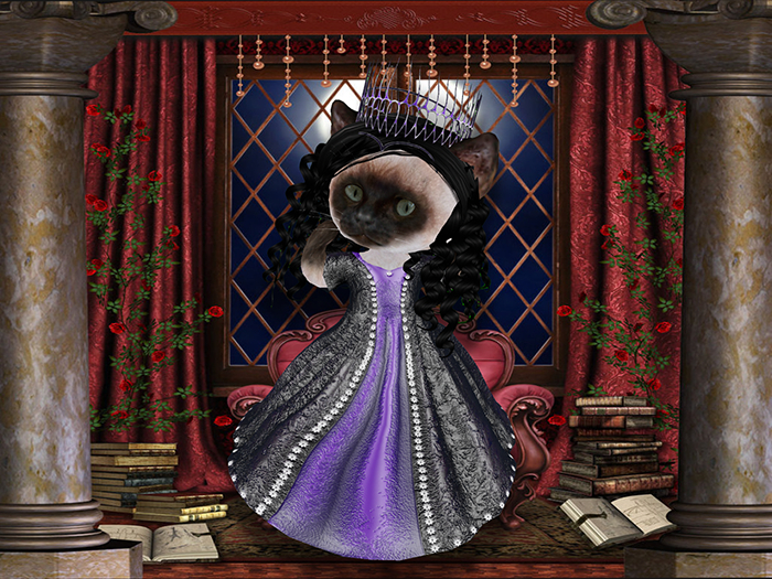 Princess gown black-purple set box