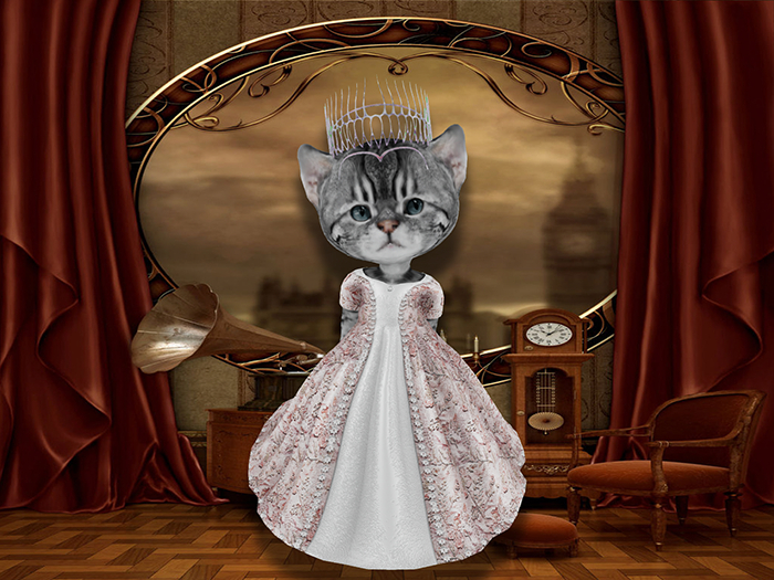 Princess gown pink-white set box
