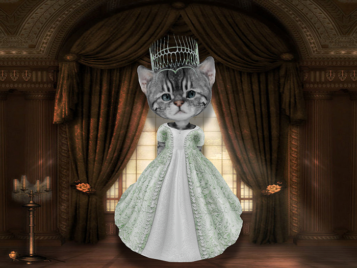 Princess gown green-white set box