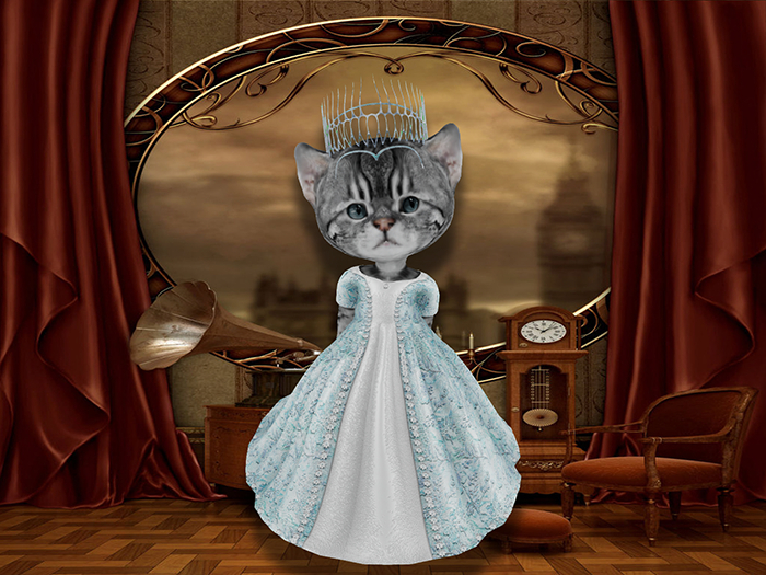 Princess gown blue-white set box