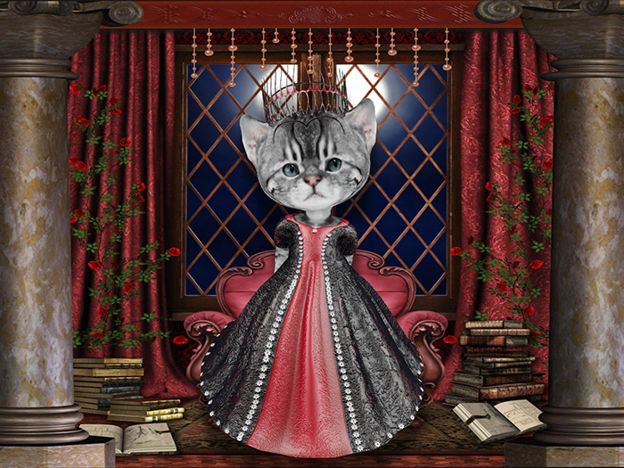 Princess gown black-red set box