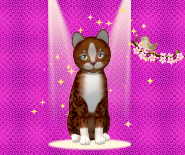 KittyCatS Box - F Genesis - Ginger  II The Rainbow