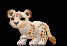 Kreature Jarvil %f167bae7ad1b