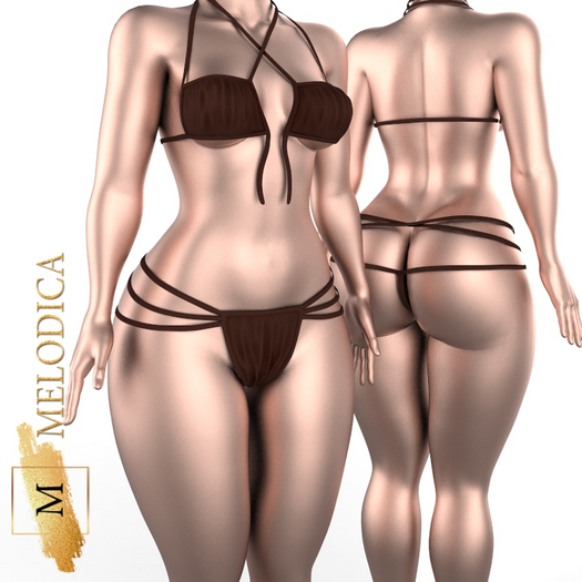 Brown Onepiece Bikini