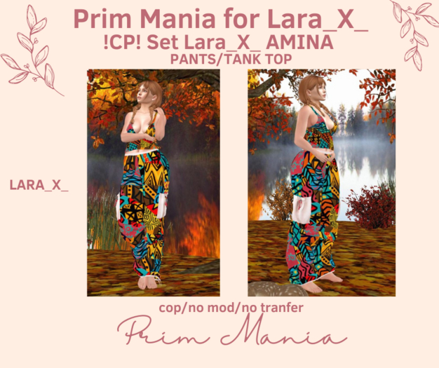 !CP! SET LARA_X_  AMINA