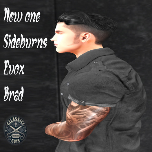 New one Sideburns evox Brad 