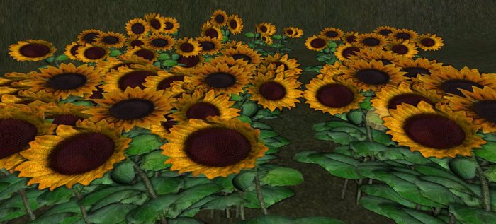 LMD Garden: Sunflower Pack