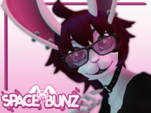 SB. Thick Frame Glasses