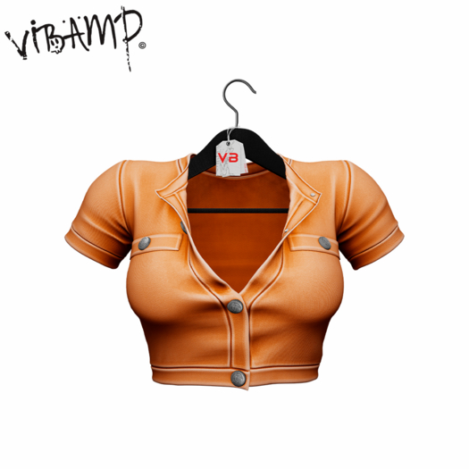 VB. Lene Shirt Orange
