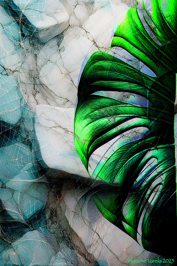 Monstera on Granite and Lace