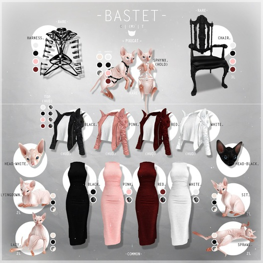 -Pixicat- Bastet.Sphynx (Hold2) RARE +harness  (hold 2) RARE