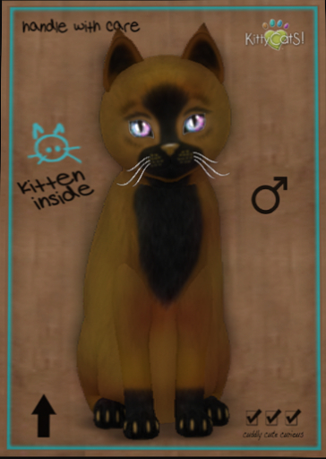 9T Kittycats - Faux Puff - Chai Latte (male)