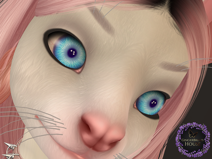 Rodent Head Eyes