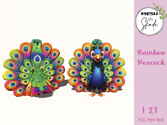 MBS - Rainbow Peacock 