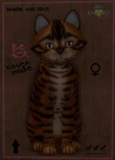 KittyCats Toyger - Caramel