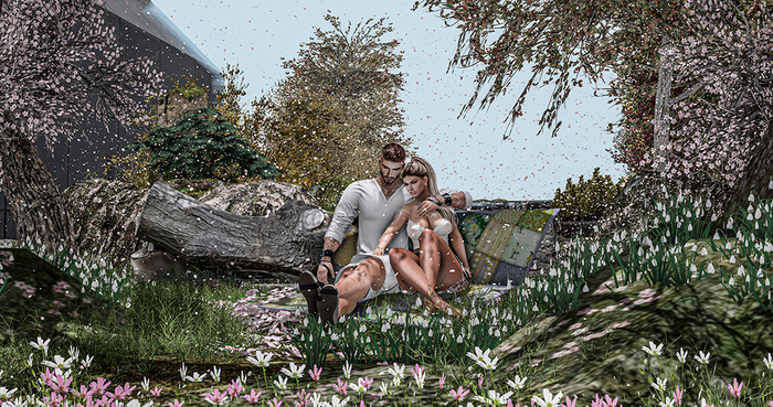 Aphrodite "Family Fun" Couple Log PG (boxed, Copy)