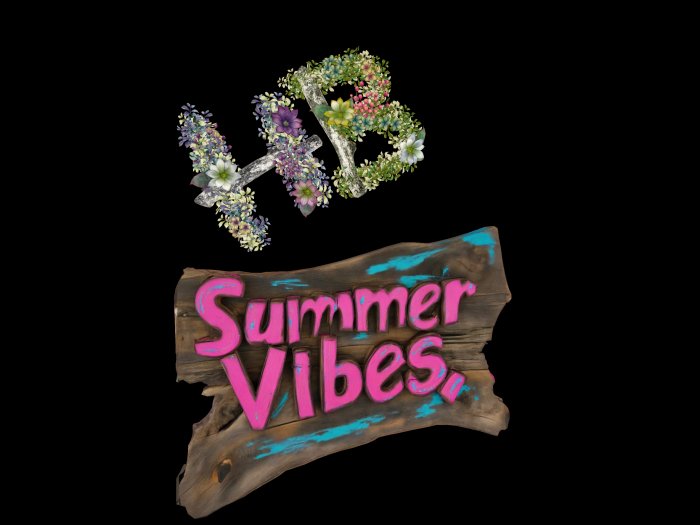 HB: Summer Vibes Sign FuLL PERM