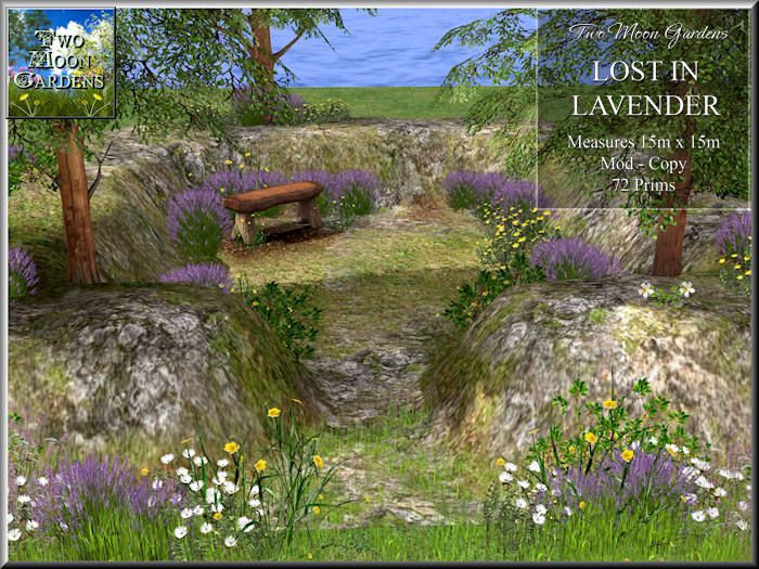 Garden|Lavender