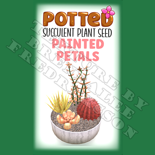 Potted: Succulent Plant Seed: Painted Petals (ACTUAL PLANT SEED) - Retired!
