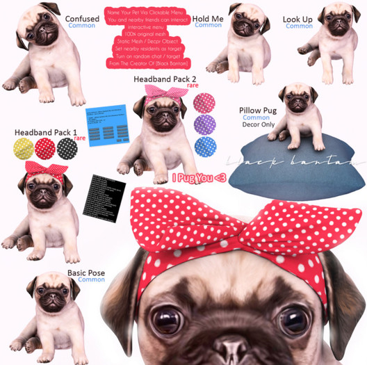 *[Black Bantam] Basic Pose Pug