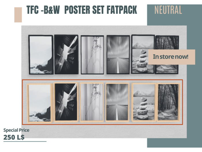 TFC - Black & White  framed poster Neutral (Fatpack) 