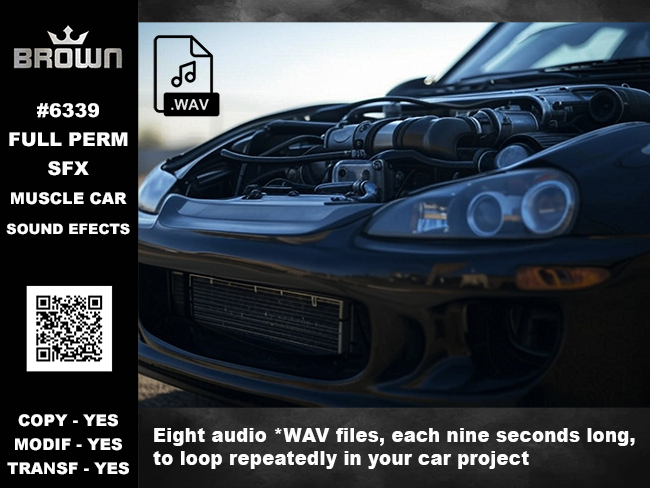 6339 SFX MUSCLE CAR SOUND EFECTS LOOP ON OF