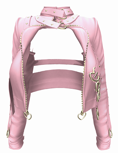 *CK* The secret jacket  ROSE