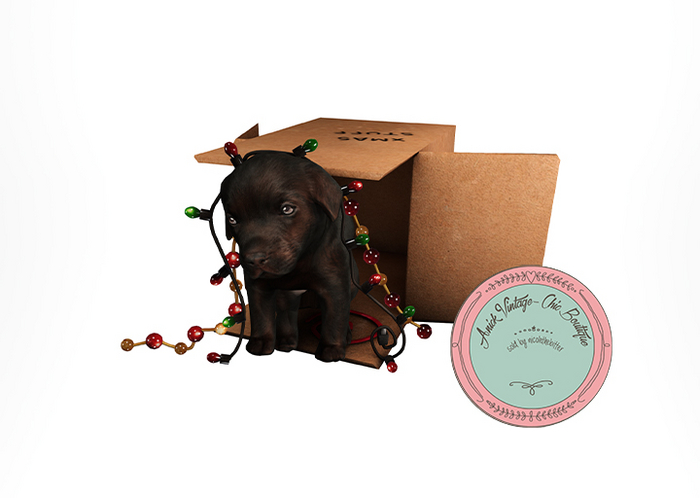 O.M.E.N - Waiting for Santa Paws - Knotty Dog