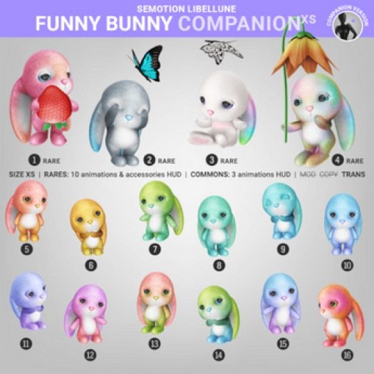 3. SEmotion Libellune Funny Bunny XS Companion RARE