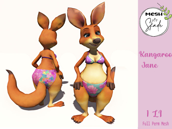 MBS - Kangaroo Jane