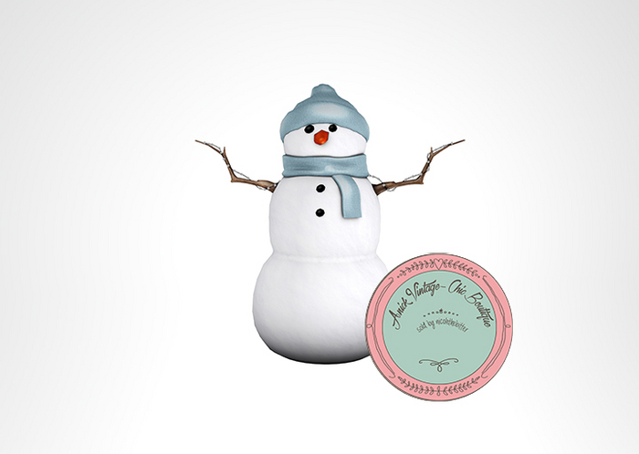 22.Sese_Winter Ice Rink - Snowman