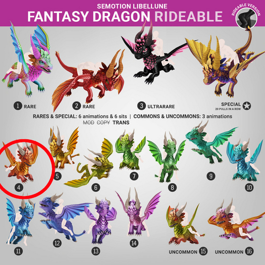 DRAGON COMMON 04