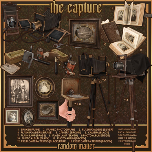 11. Random Matter - The Capture - Photo Album [Brown]